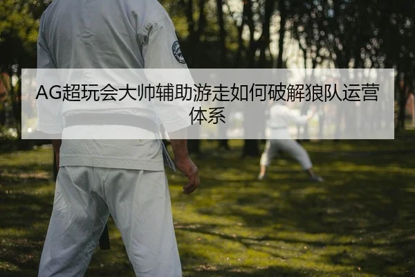 AG超玩会大帅辅助游走如何破解狼队运营体系 | yaxin