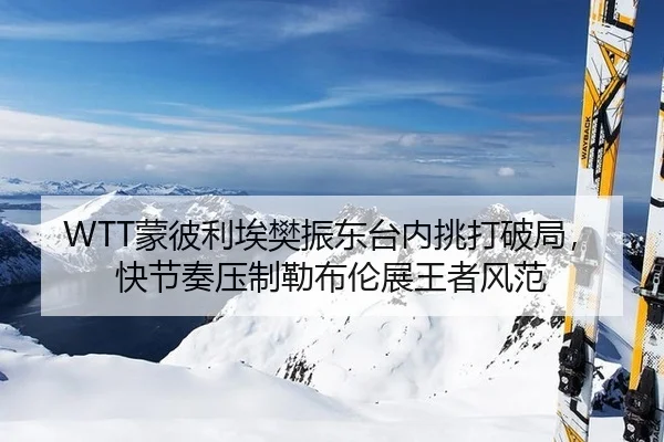 WTT蒙彼利埃樊振东台内挑打破局，快节奏压制勒布伦展王者风范